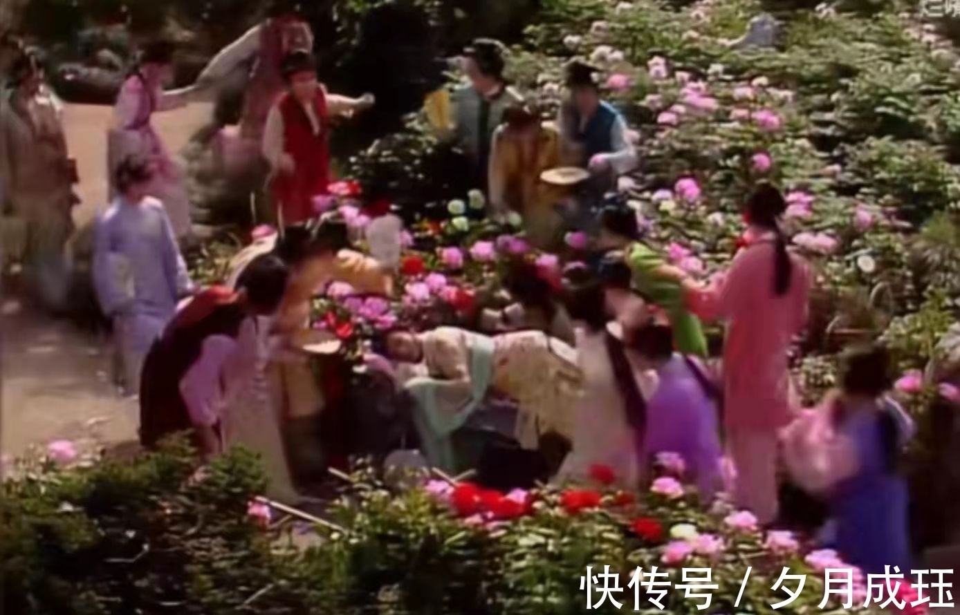 芍药!没有对比就没有伤害,一个简单的睡姿,看两版《红楼梦》的差距