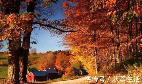 伤秋#元代最著名的秋雨词,极具意境,美到心醉,为不可多得的绝世著作