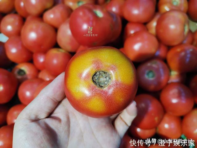 西红柿|买西红柿，挑圆的还是尖的？菜农：“这3种”可别买，都是催熟的