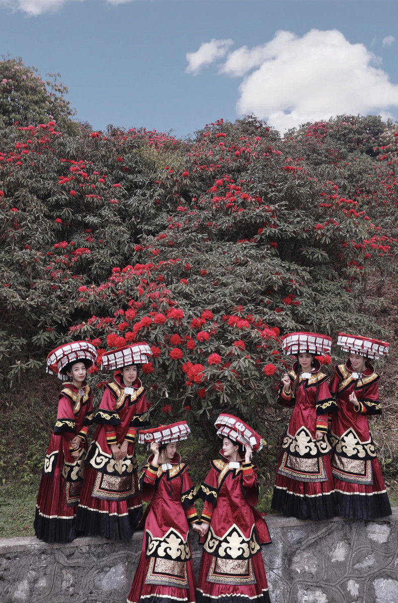 ［百里杜鹃］花开百里，只为遇见你