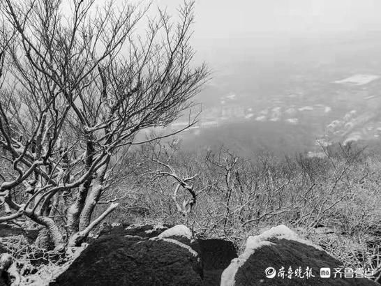 元宵节|冒雪登上千佛山，一览泉城美景、北国风光