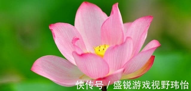 特征|佛说：好福气是修来的，一个人有没有福气，就看这6大特征！