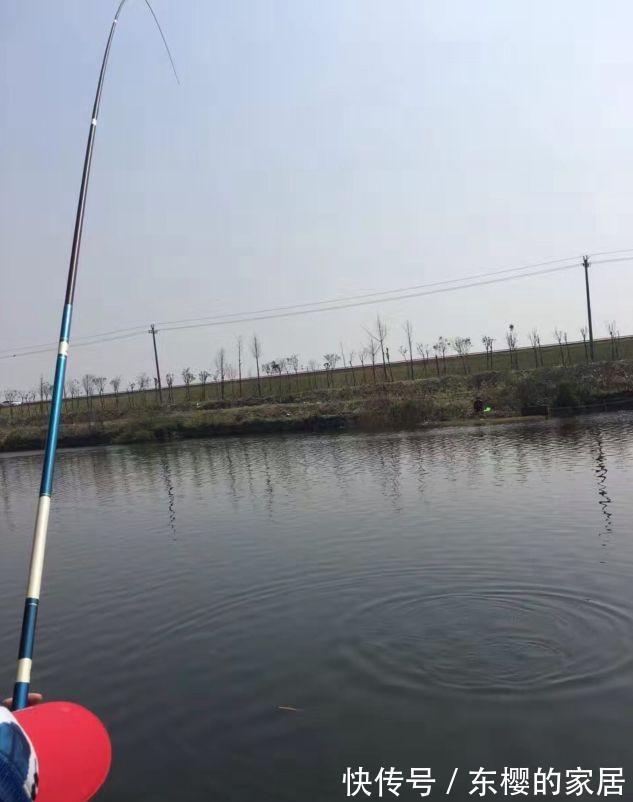 化氏|新手钓鱼一定要买便宜货？胡说，老钓手教你怎样挑装备