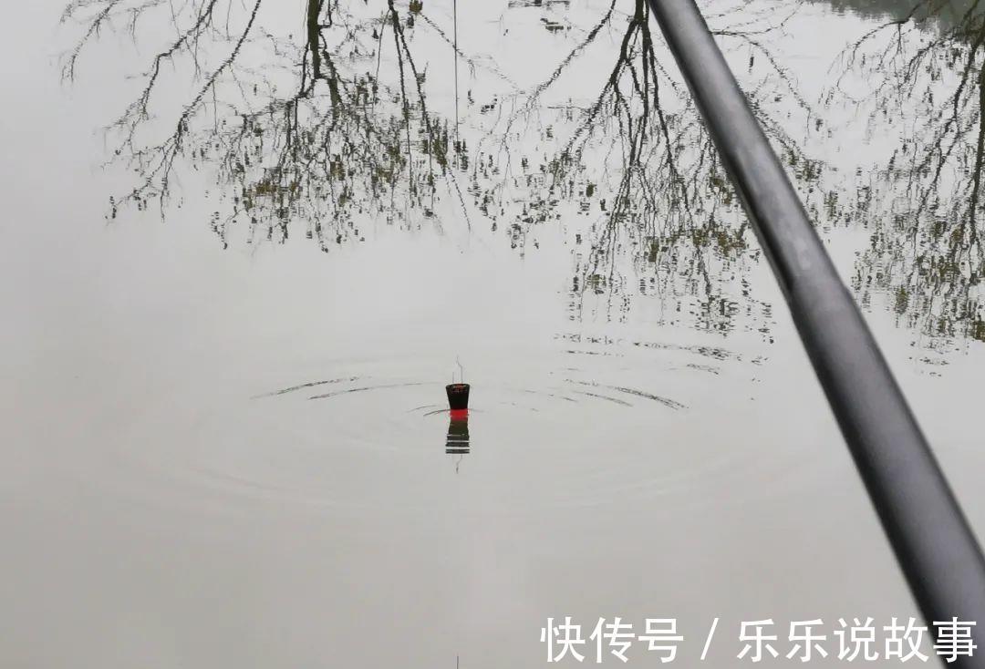 窝子|打窝后等多久再下杆最合适这个问题别忽视,野钓太重要了