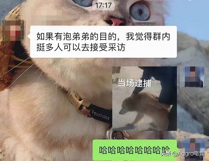 王者荣耀|电竞少女真的很坑吗？