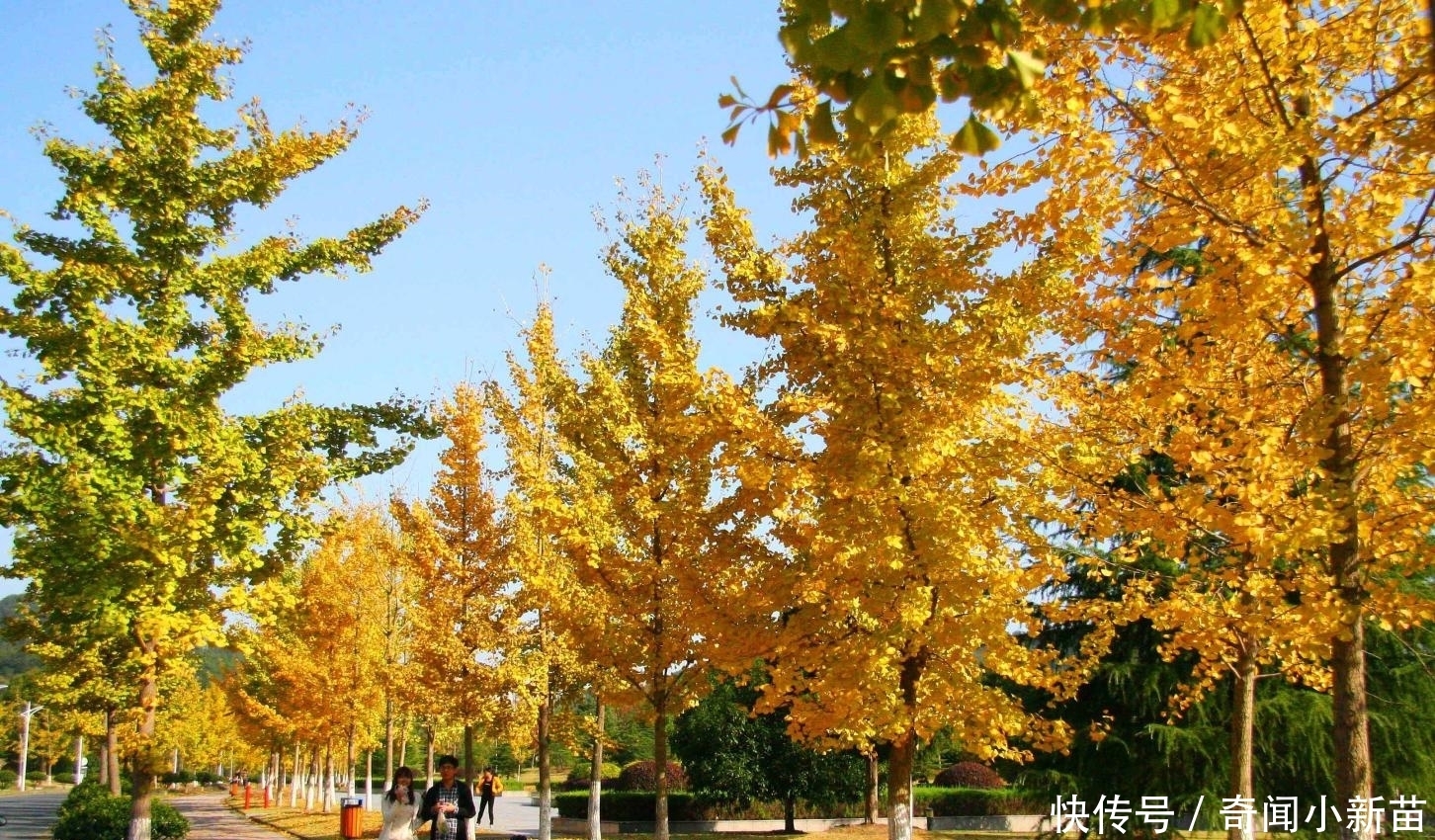 考研面试老师更喜欢这样的“淘气包”学生