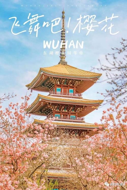 武汉东湖|共赴樱花之约，武汉东湖等你