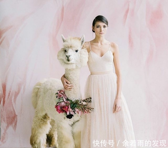 趣图:婚礼的时候一般会邀请什么人?嗯,草泥马伴娘没见过吧?