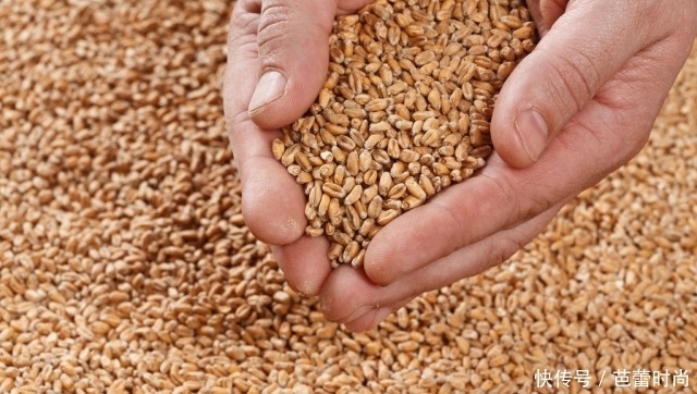 小孩子|孩子厌食、反复发热,可能是积食!3招调理脾胃,吃饭香身体棒