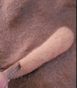 |搞笑GIF趣图徒手开榴莲,非专业人士不要模仿!