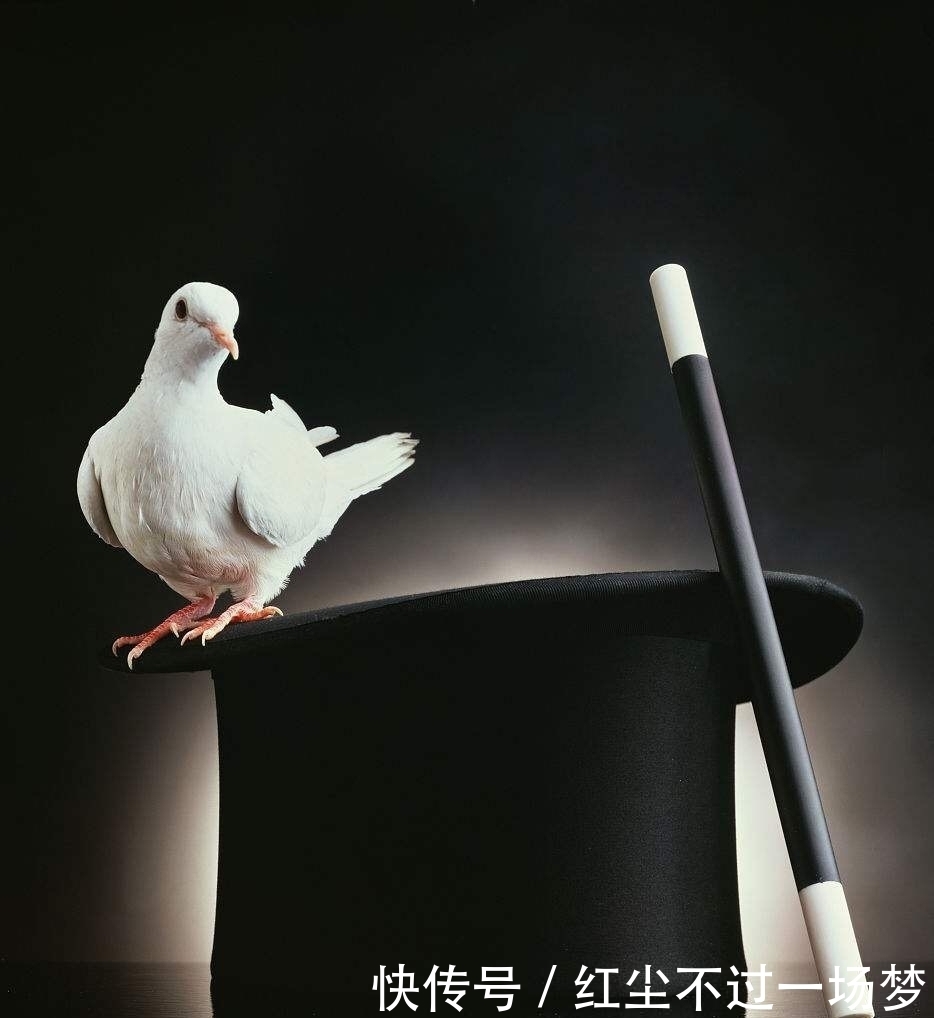 9个冷知识:你以为鲁迅是个呆板的人?其实他是个潮男