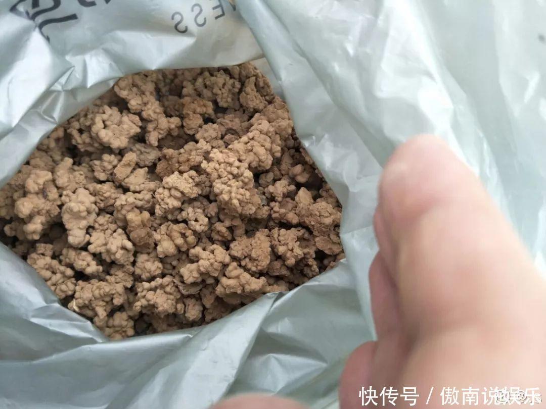 大疙瘩|盆土硬成大疙瘩,浇点松土剂,立马软得像发糕!