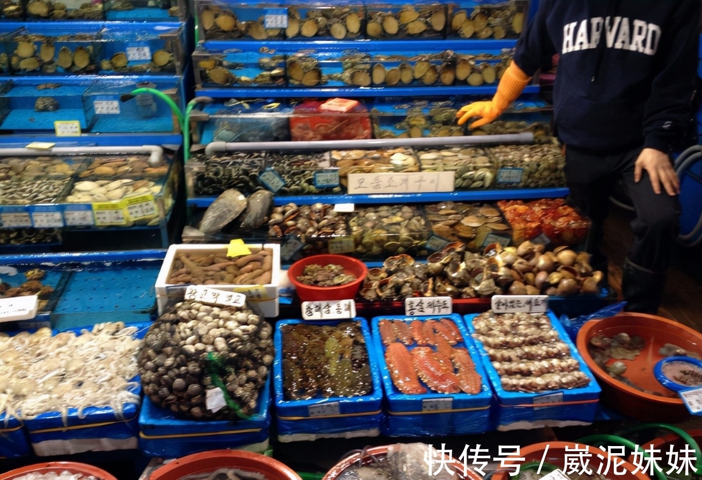 价格战|社区团购为何“降温”？入局者破产离场，巨头们为何败给菜贩子
