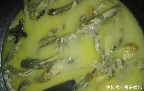 肉质|山涧溪流的这种鱼，肉质比河里的鱼鲜嫩，用来煮汤非常美味！