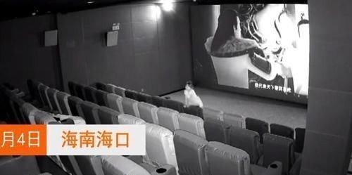 影院|熊孩子踢坏影院屏幕,面对上万损失,家长:娃不懂事踢的!赔啥!