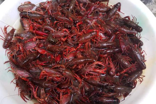 天热了，就该多吃此肉，保存起来放冰箱，随吃随取，太过瘾了