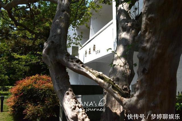 这个全天免门票的江南古镇,宁静安逸,很低调,却最值得静度时光