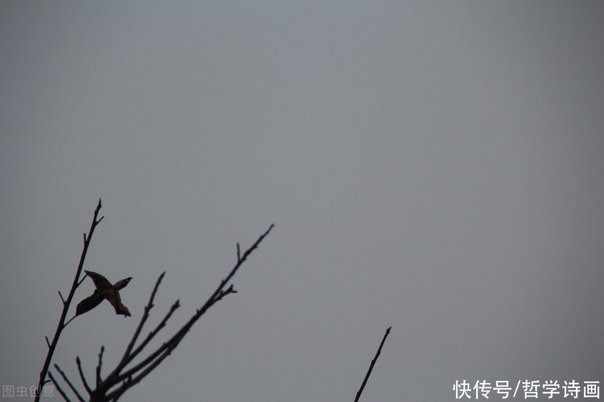 加缪@《加缪手记》20句精华:教你如何看清世界本质,人生真相