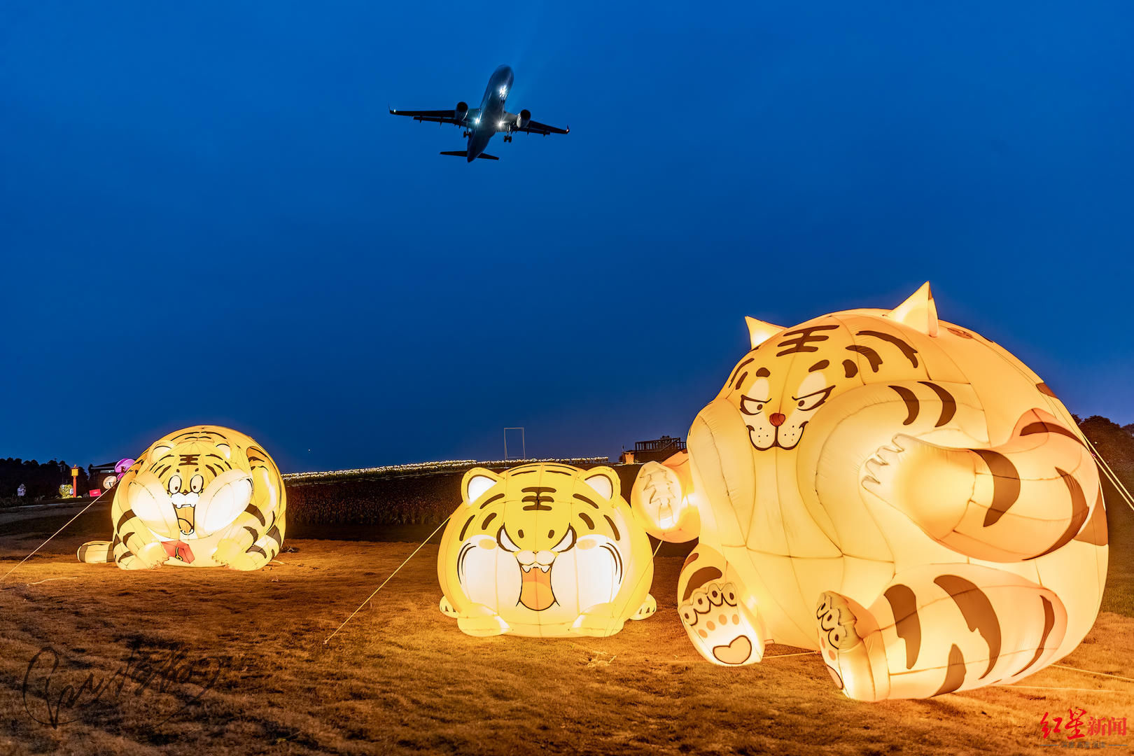 空港花田|想去花海追光拍飞机吗？成都空港花田梦幻夜场今起开放