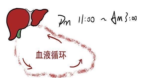 调理|一切大病从脾衰开始，脾的“恩人”被找到了，带着吃，养好脾