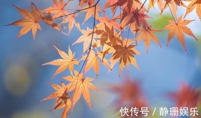 玉纤$枫叶题诗14首手拈红叶细思寻,何故蓝情断信音