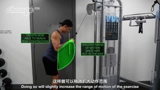 肌头|手臂太细怎么练掌握这3点，“肱三头轰炸”练出麒麟臂