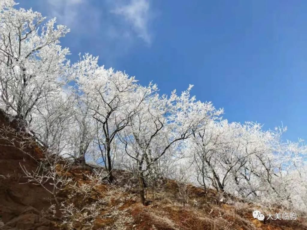 黑风口，白露为霜！