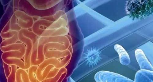 衰老|年过50的人,如何越活越年轻?靠吃几种食物对抗衰老,还你年轻态