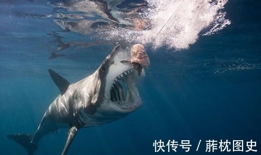 时尚杂志|外国真人秀复刻恐怖片!教你在丧尸吸血鬼杀人狂手下逃生