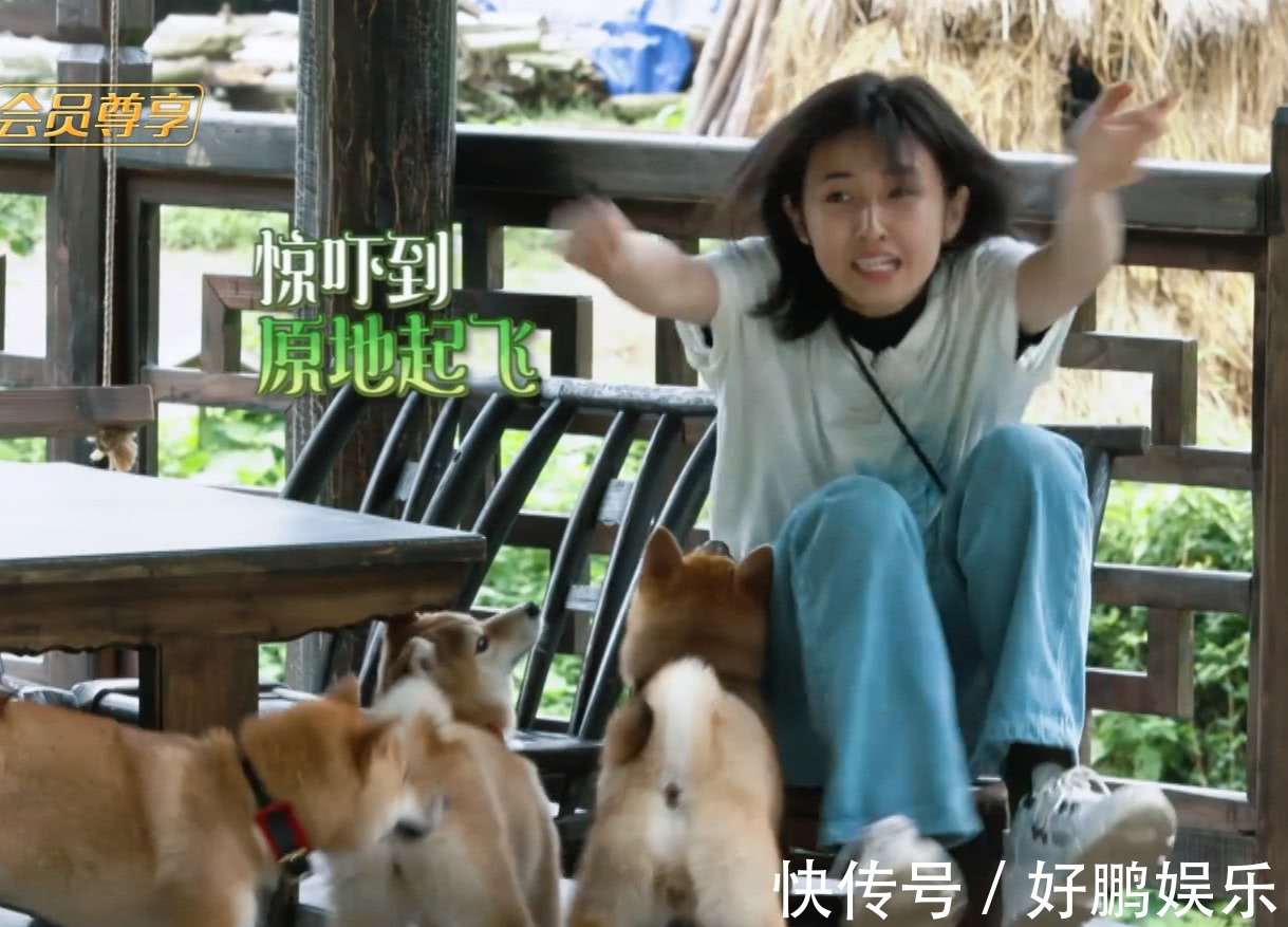 《向往3》张子枫录节目间出现生理期,看她随身背的小包,难怪!