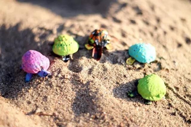 保证|吃完的坚果不能丢,坚果壳变身记,保证创意一箩筐