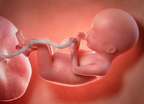 怀孕|同样怀孕,为啥有的人怀孕8个月都不显怀,而有的3个月就显怀?