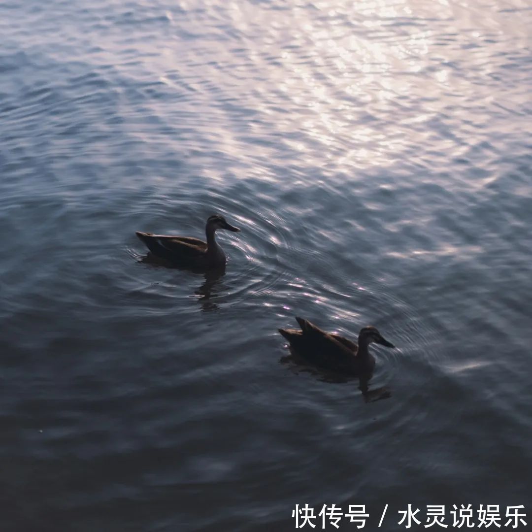 神仙·朋友圈封面背景图丨二十余年如一梦,此身虽在堪惊