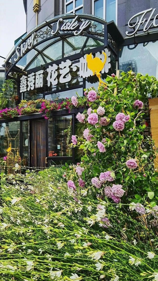 景美!人靓!饭菜、咖啡香!大连6家好店让你相见恨晚!