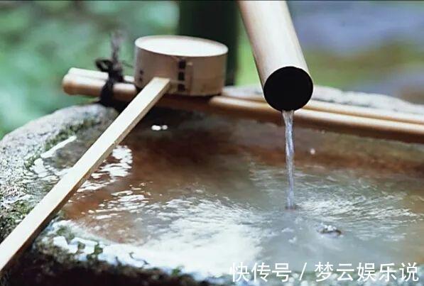 痰湿|血瘀生百病!中医推荐4个活血化瘀宝贝,针对不同的血瘀体质!