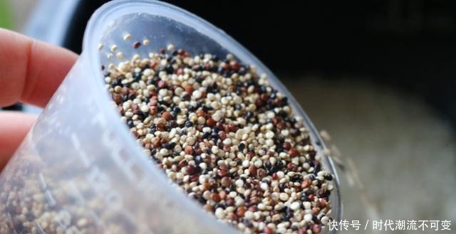 米饭中加一点它,坚持每天吃,低脂抗饿,不知不觉就瘦了!