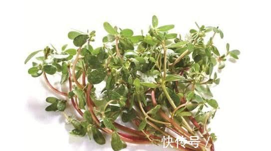 大便|严重便秘怎么办 肠道的“清洁工”来了, 轻松排出体内宿便!