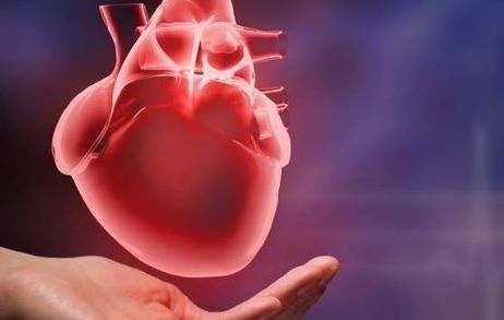 每天坚持喝两杯黄芪泡水,四个好处不请自来,