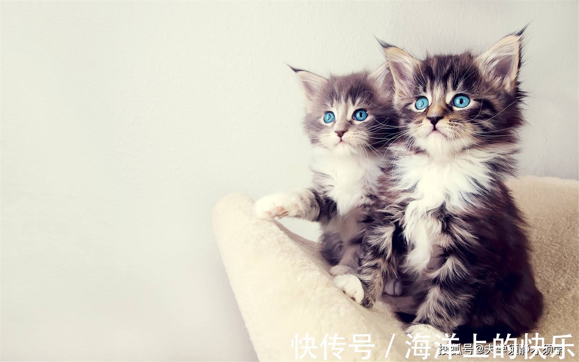 |幽默笑话:老公给我写了第一封情书,再拿出来看看,却觉得好笑!