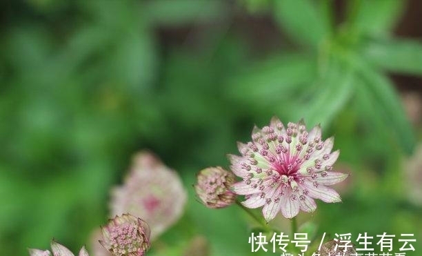 一世|8天内，桃花再开，桃花重开，迎接旧爱，牵手旧爱，旧爱一世相拥