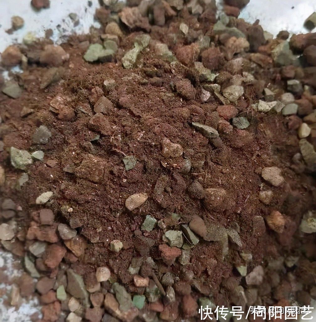 成品|不要再买成品营养土，不划算，不好用，全都是椰糠，很差劲