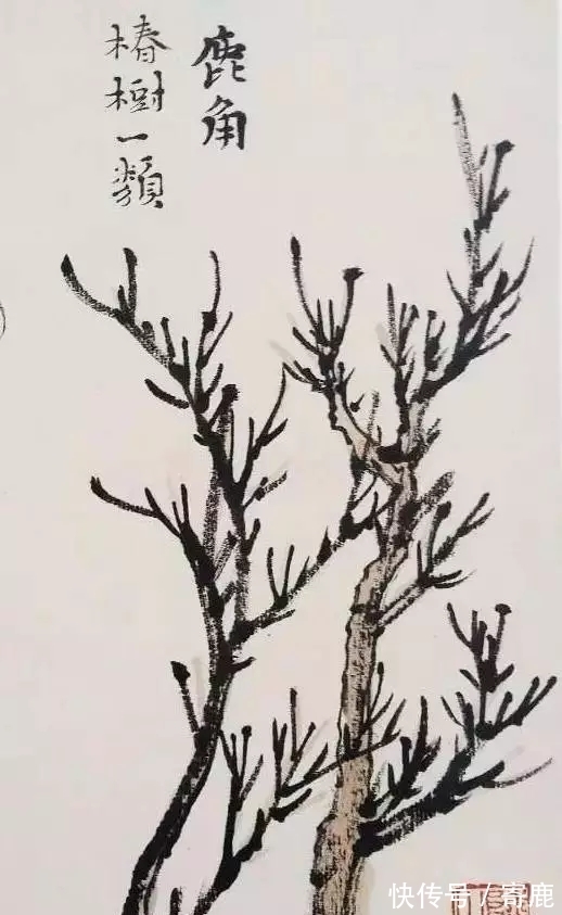 画树#国画教程|陆俨少树法