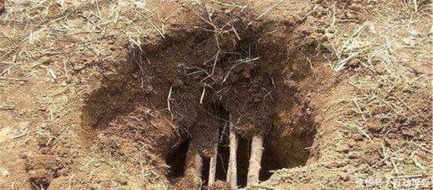  找到|第一大清官包拯墓找到了，当打开墓门时，里面场景让专家不相信！