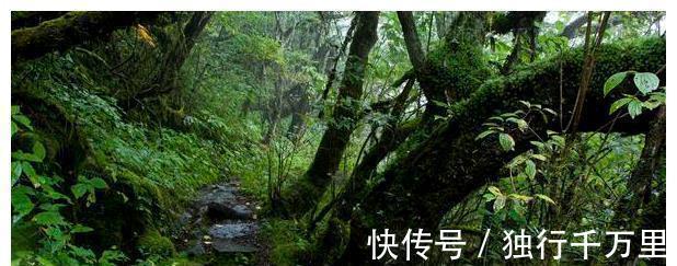 大战!故事:雷雨天,道士上山,和一条蛟龙大战一场