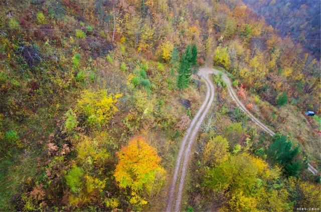 蓝泥诗歌：盘山路