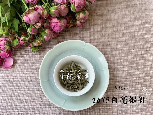 春寿眉$从白茶小白到“略懂”白茶，需要知道哪些基础知识请记牢！