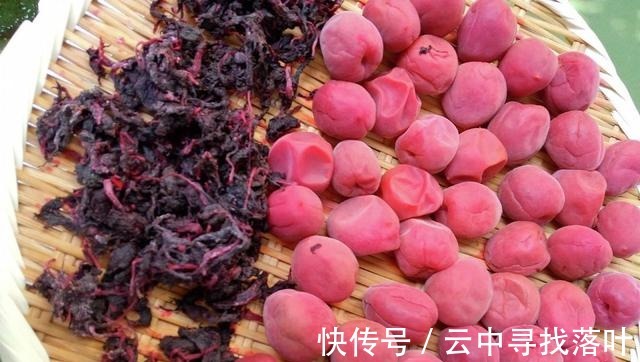 紫苏梅|冬季别只吃肉,这水果也可以放开了吃,富含维C,营养均衡特开胃!