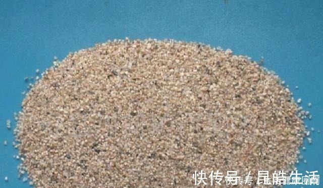 材料|养多肉,土壤中就得加点儿这种“材料”,长势才会喜人!