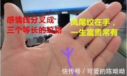 富贵命|天生富贵命的手相，后半生可谓是衣食无忧