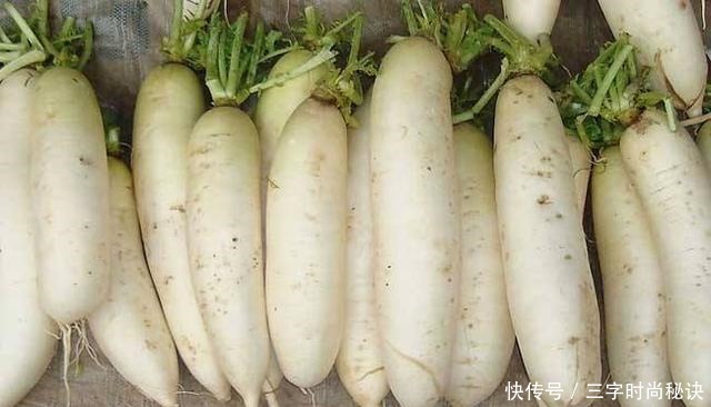 秋季,要常吃地下三宝,营养高又便宜,顺应时节,身体更健康